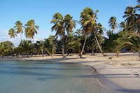 Où partir en décembre : aux antilles !