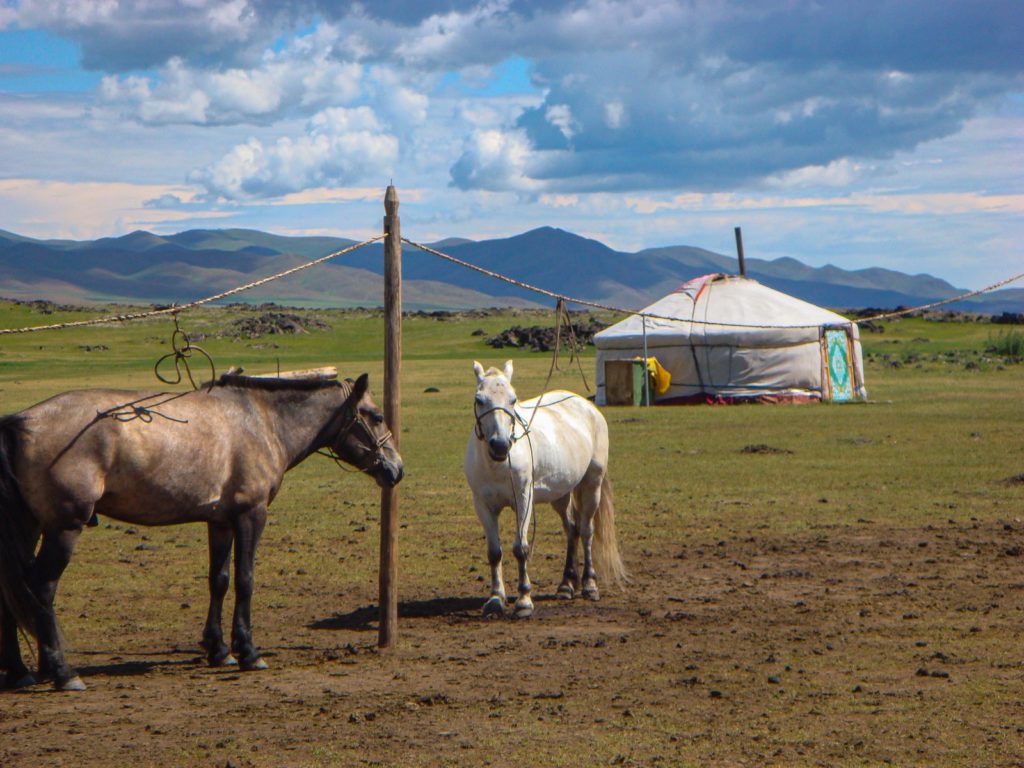 La mongolie en juillet